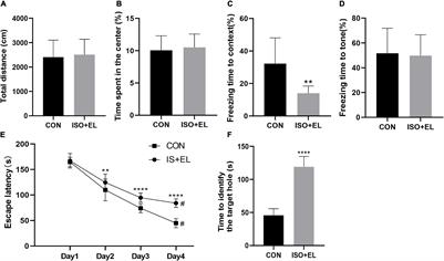 Identification of the Potential Gene Regulatory Networks and Therapeutics in Aged Mice With Postoperative Neurocognitive Disorder